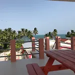 Tropical Paradise Express