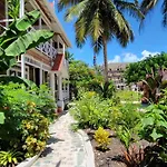 Caye Caulker Boutique Guesthouse 7