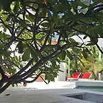 Amanda\'S Place Yellow Studio - Pool And Tropical Garden