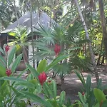 Jungle Cocoon