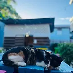 Go Slow Guesthouse