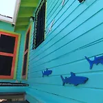 The Bottle Tree House