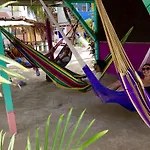 Tropical Oasis
