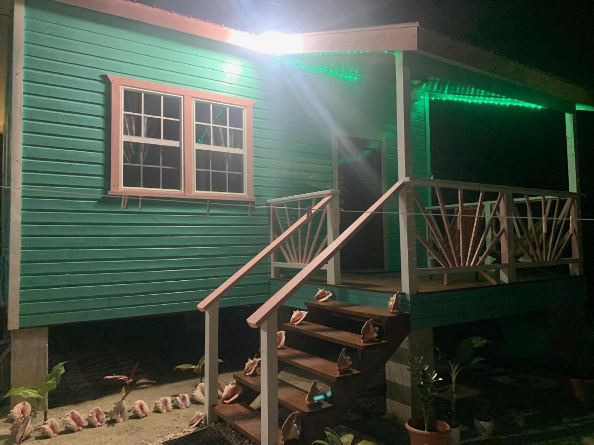 Lily Pad Ii Caye Caulker