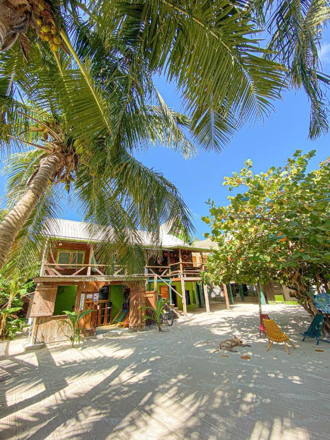 Hostel Bella's Backpackers