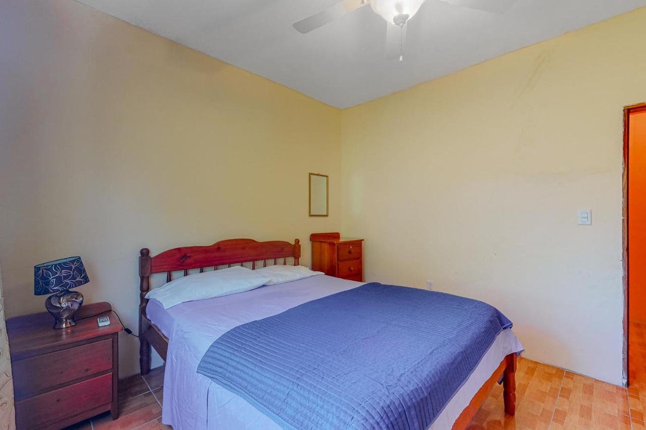 Apartment De Real Macaw
