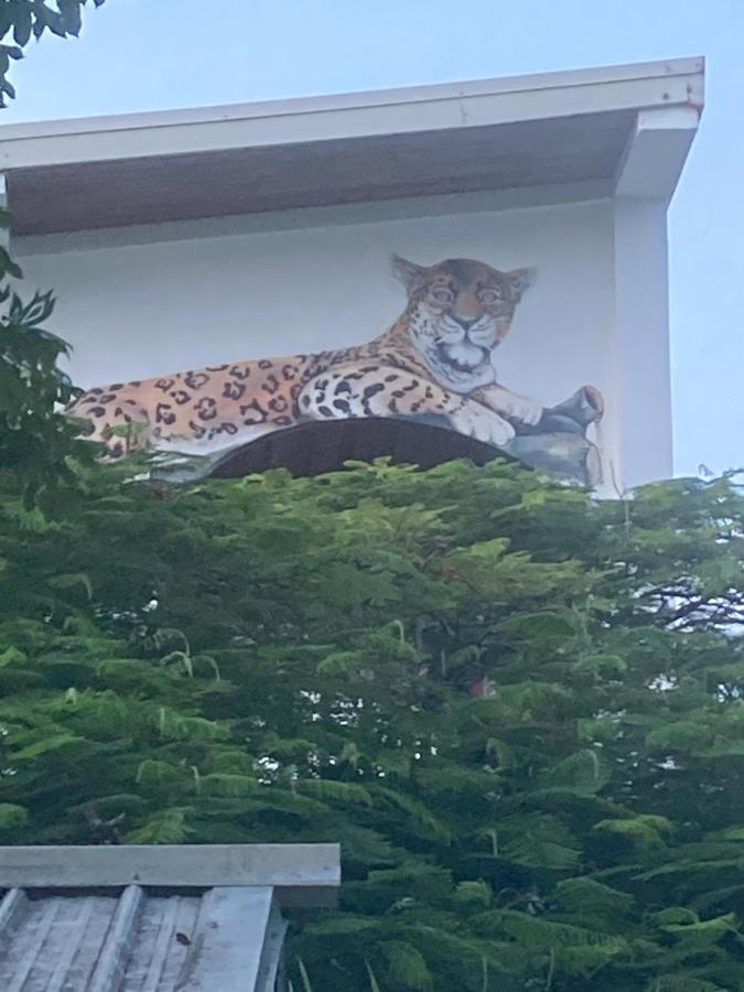 Guest house Jaguar Morning Star *