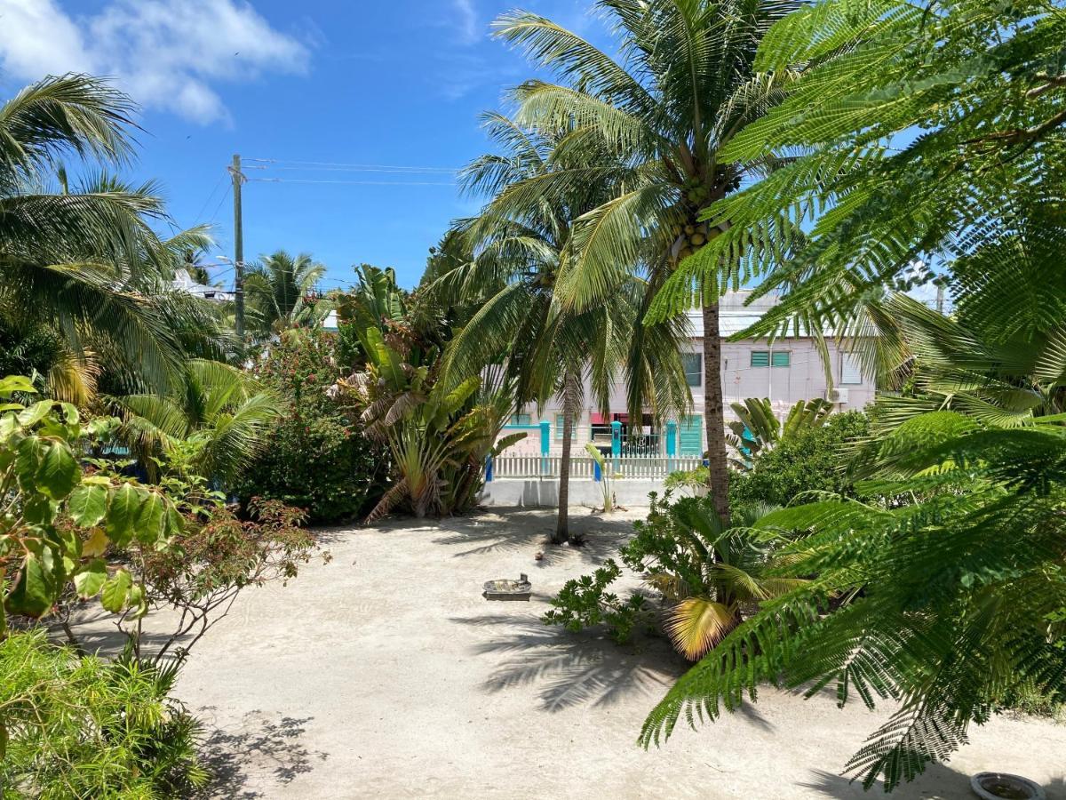 Jaguar Morning Star Guest house Caye Caulker