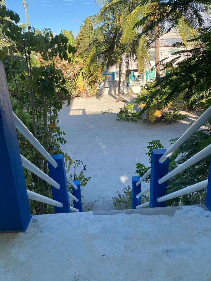 Jaguar Morning Star Caye Caulker