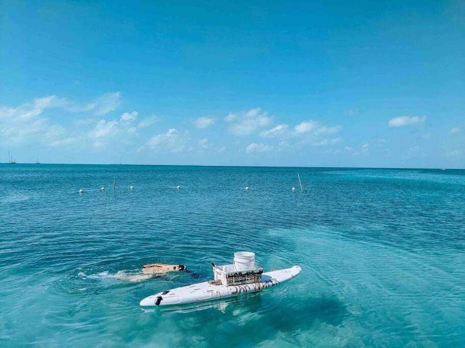 Casa de férias Vacation Blue Lotus Caye Caulker