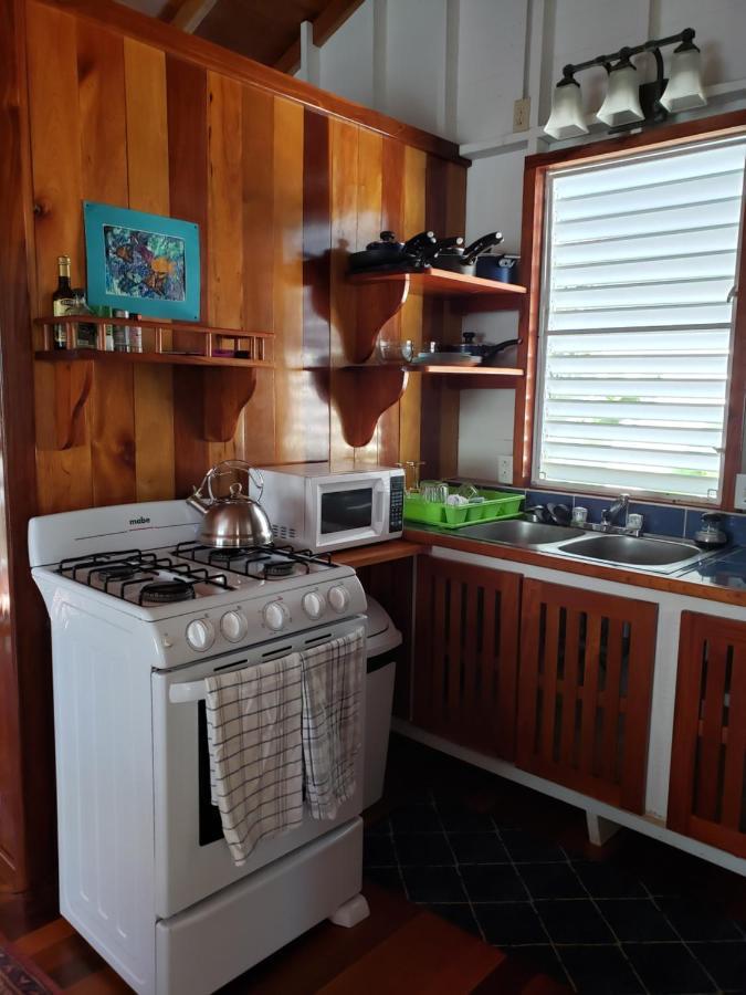 Carolyn's Other House