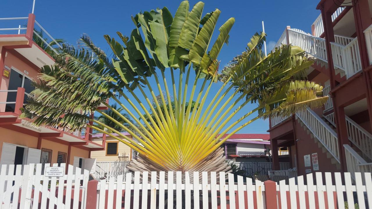Hotel Caye Caulker Condos