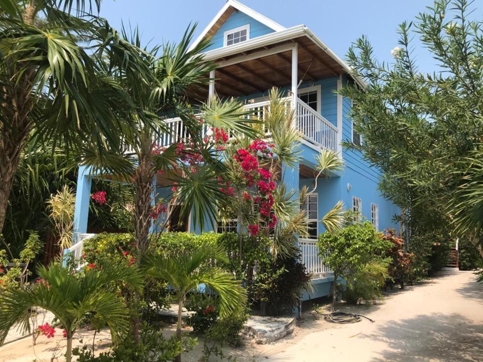 Sandy's Secret * Caye Caulker