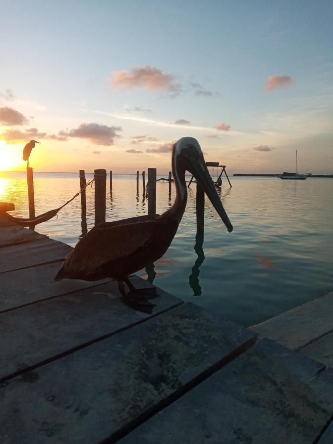 Amanda's Place - Pool And Tropical Garden * Caye Caulker