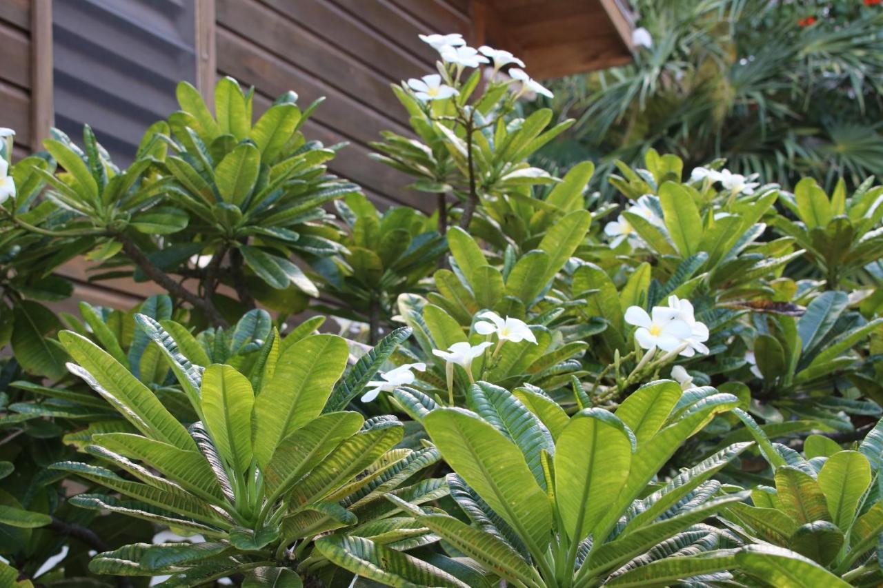 Holiday home Amanda's Place Casita Carinosa - Pool And Tropical Garden *