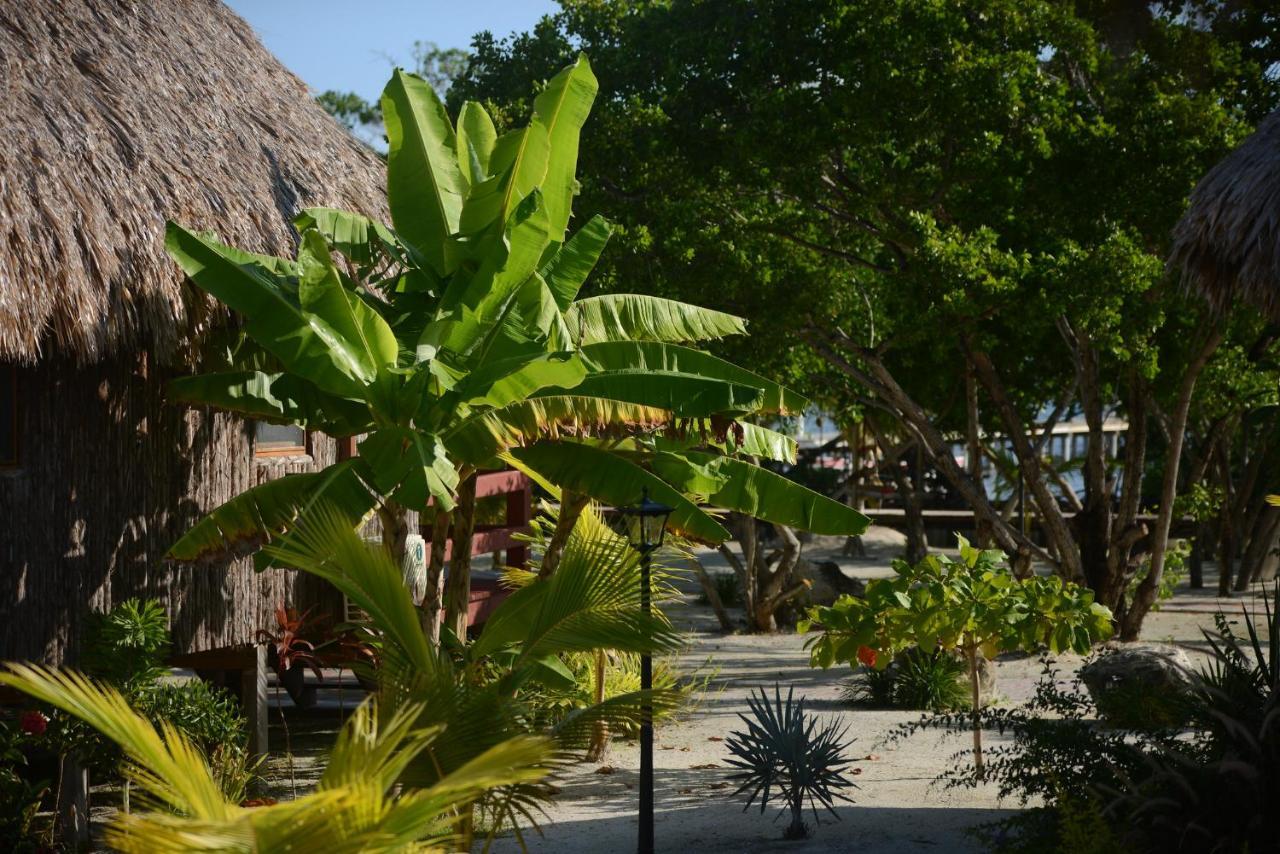 El Ben Resort Caye Caulker