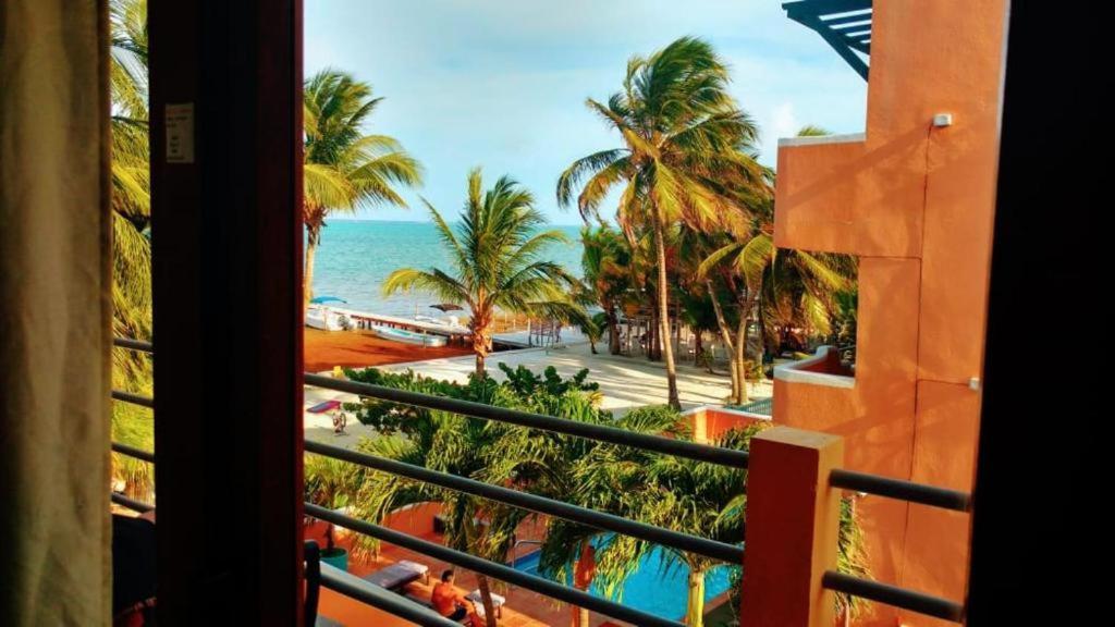 Side By Ccvh Caye Caulker