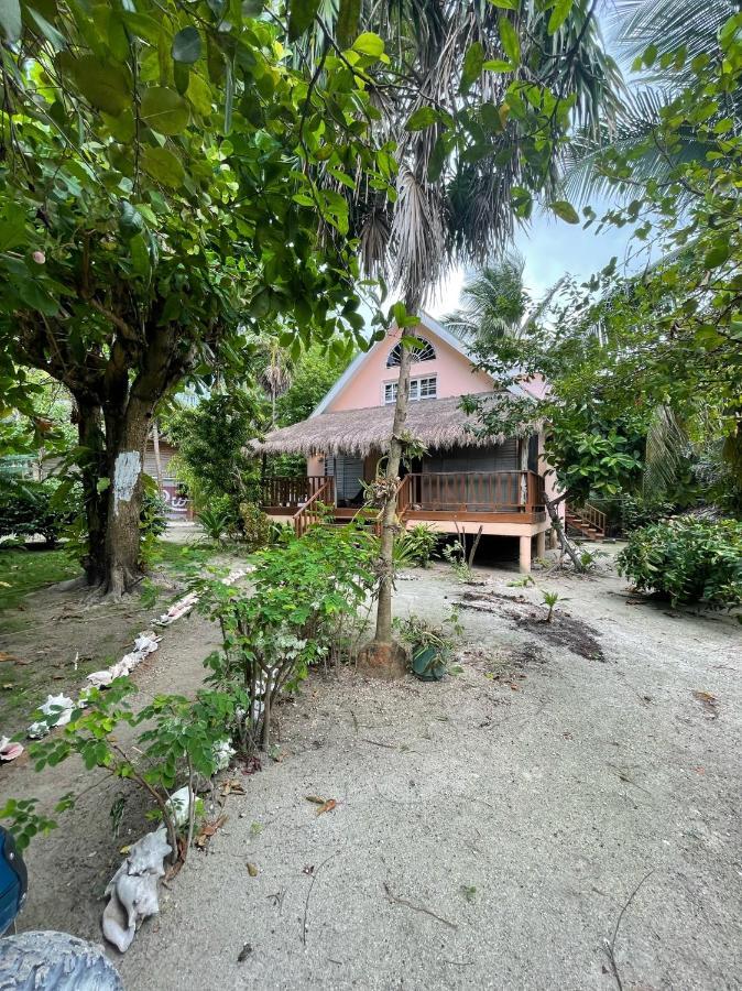 The Coral Casa Caye Caulker