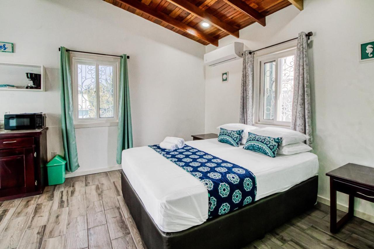 Dv 3 At Dv Gold Standard Certified Caye Caulker