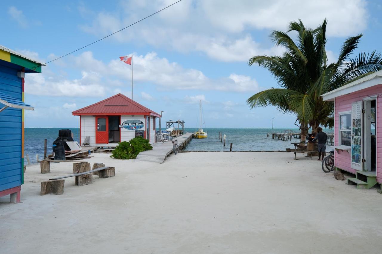 1 At Island Pearl Gold Standard Certified *