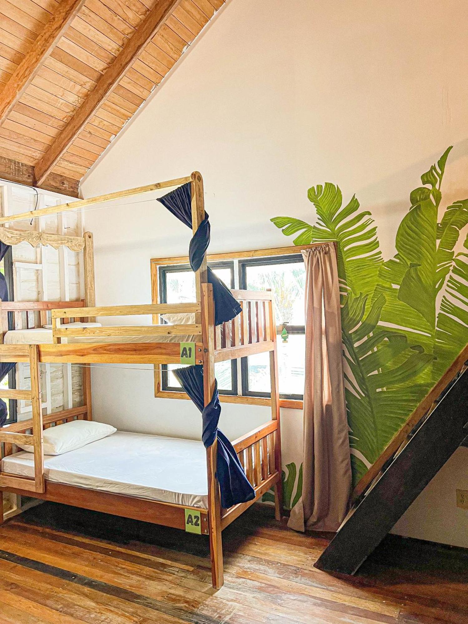 Bella's Backpackers