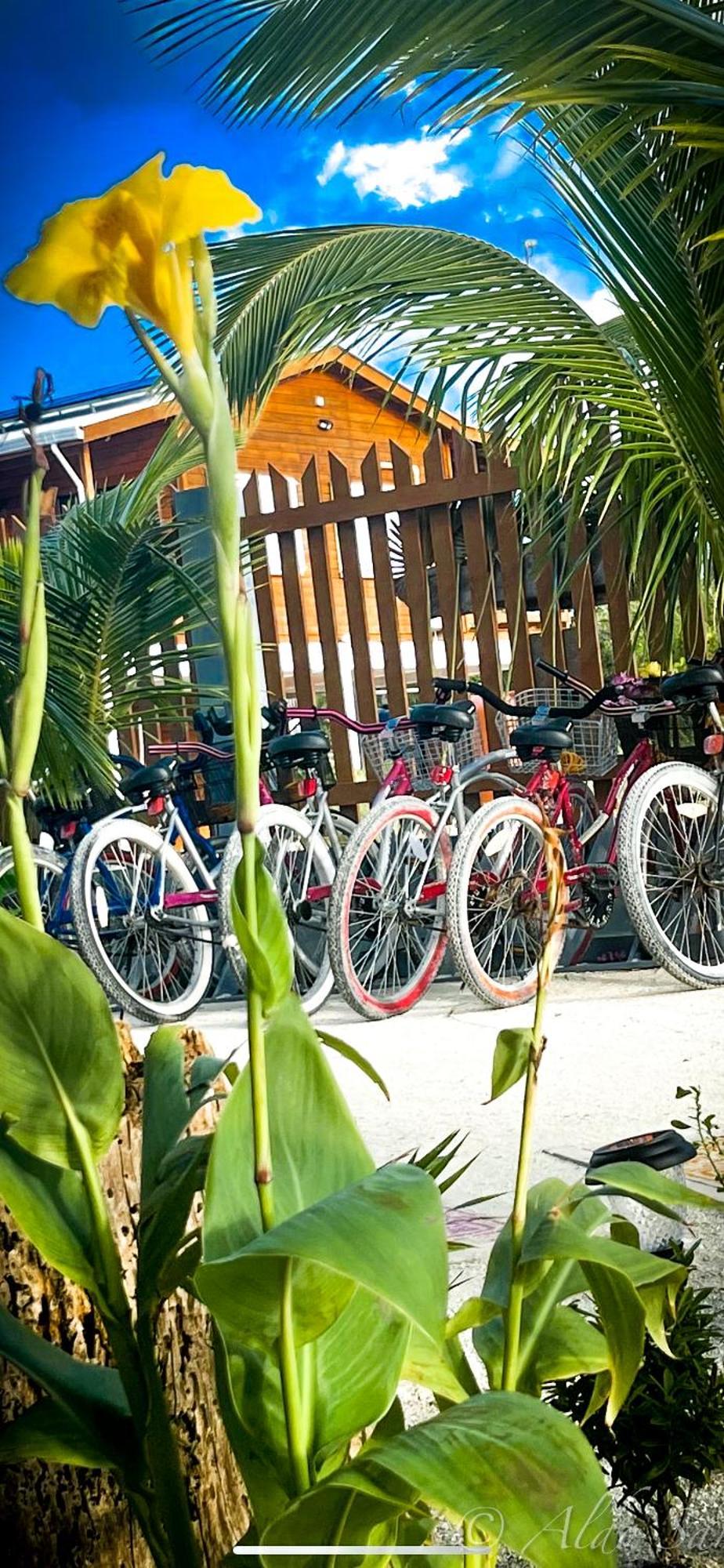 Hotel Costa Nube Caye Caulker