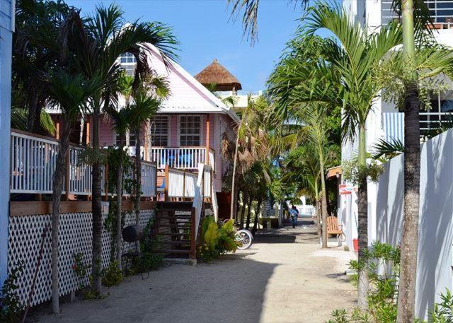 Sandy's Secret * Caye Caulker