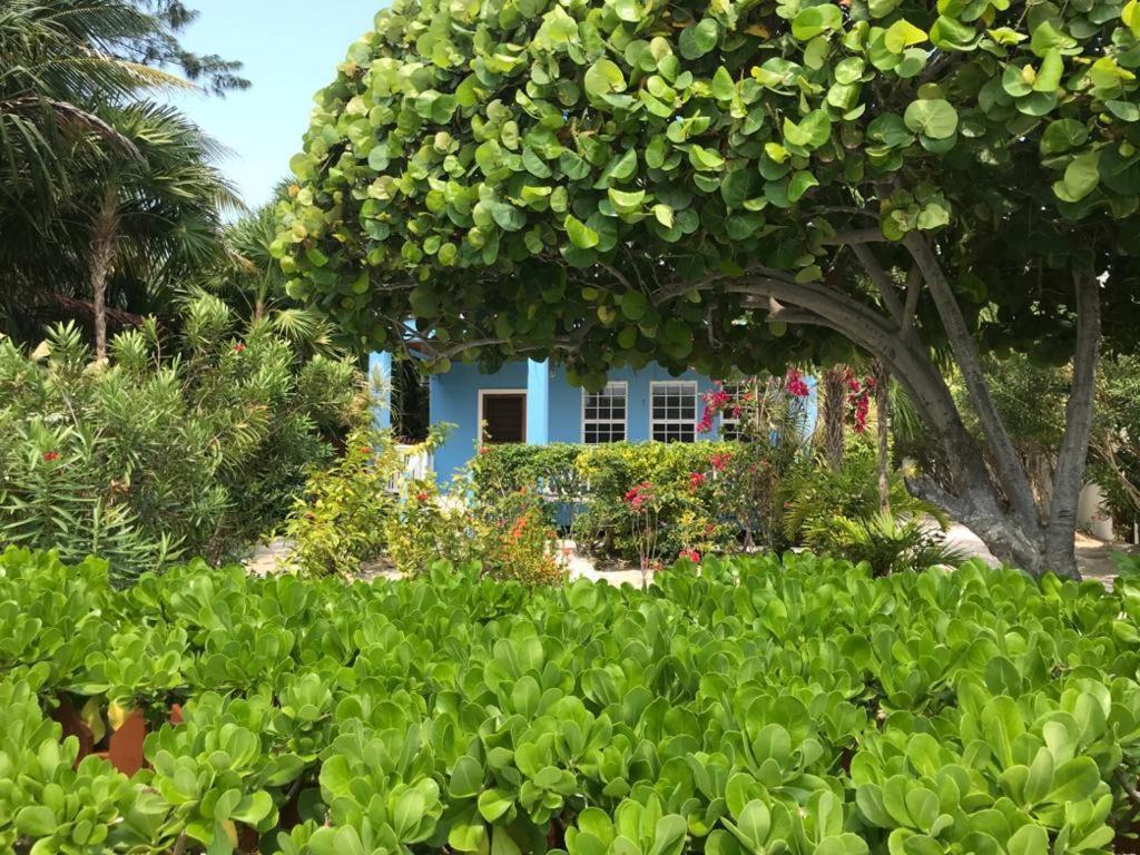 Sandy's Secret Holiday home *