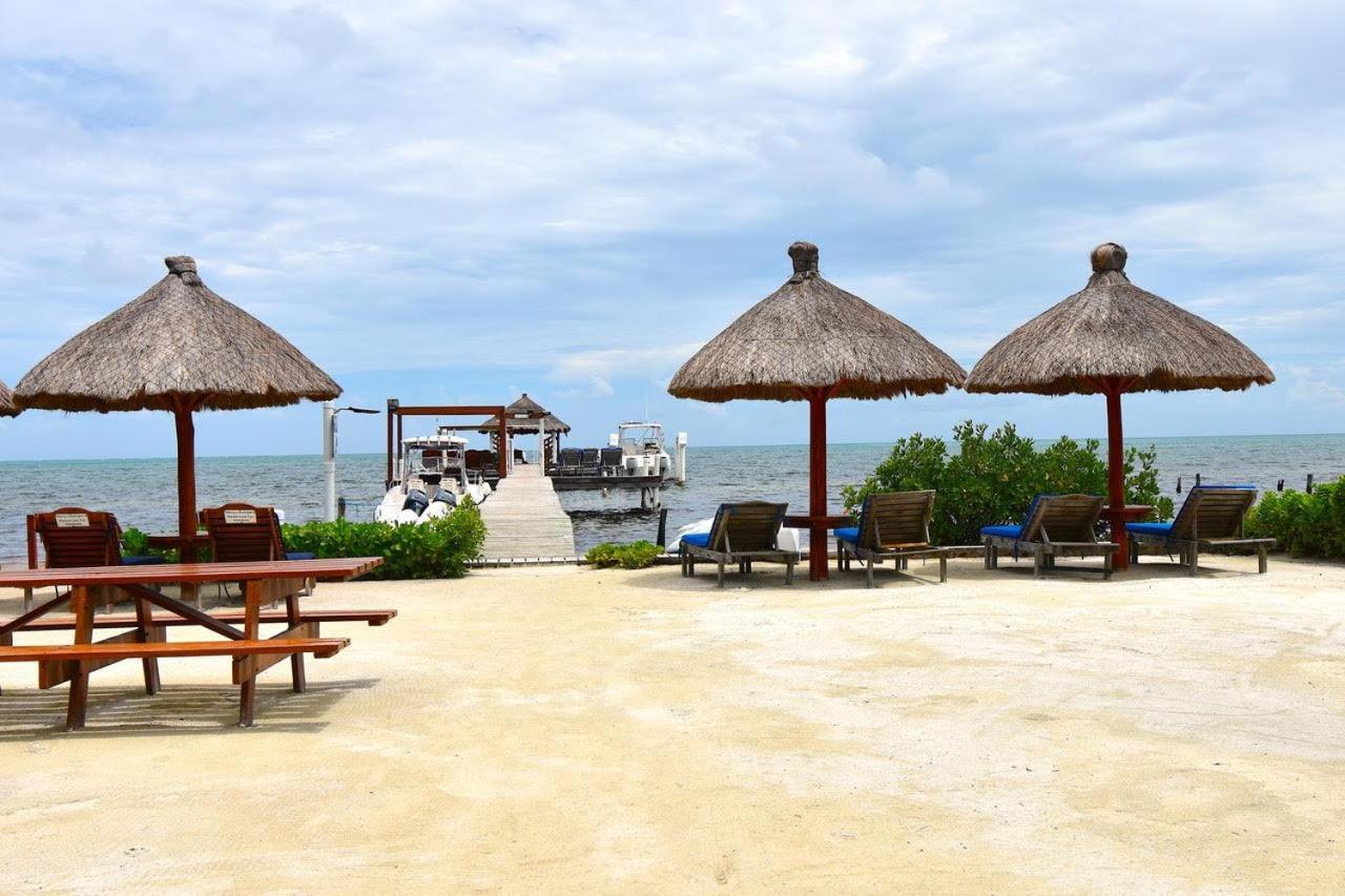 Sandy's Secret Caye Caulker