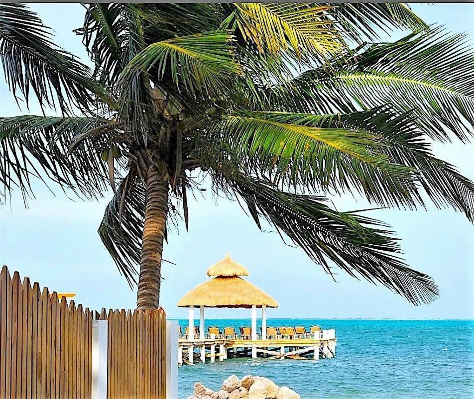 Velento Partial Ocean View Penthouse #7 Holiday home Caye Caulker