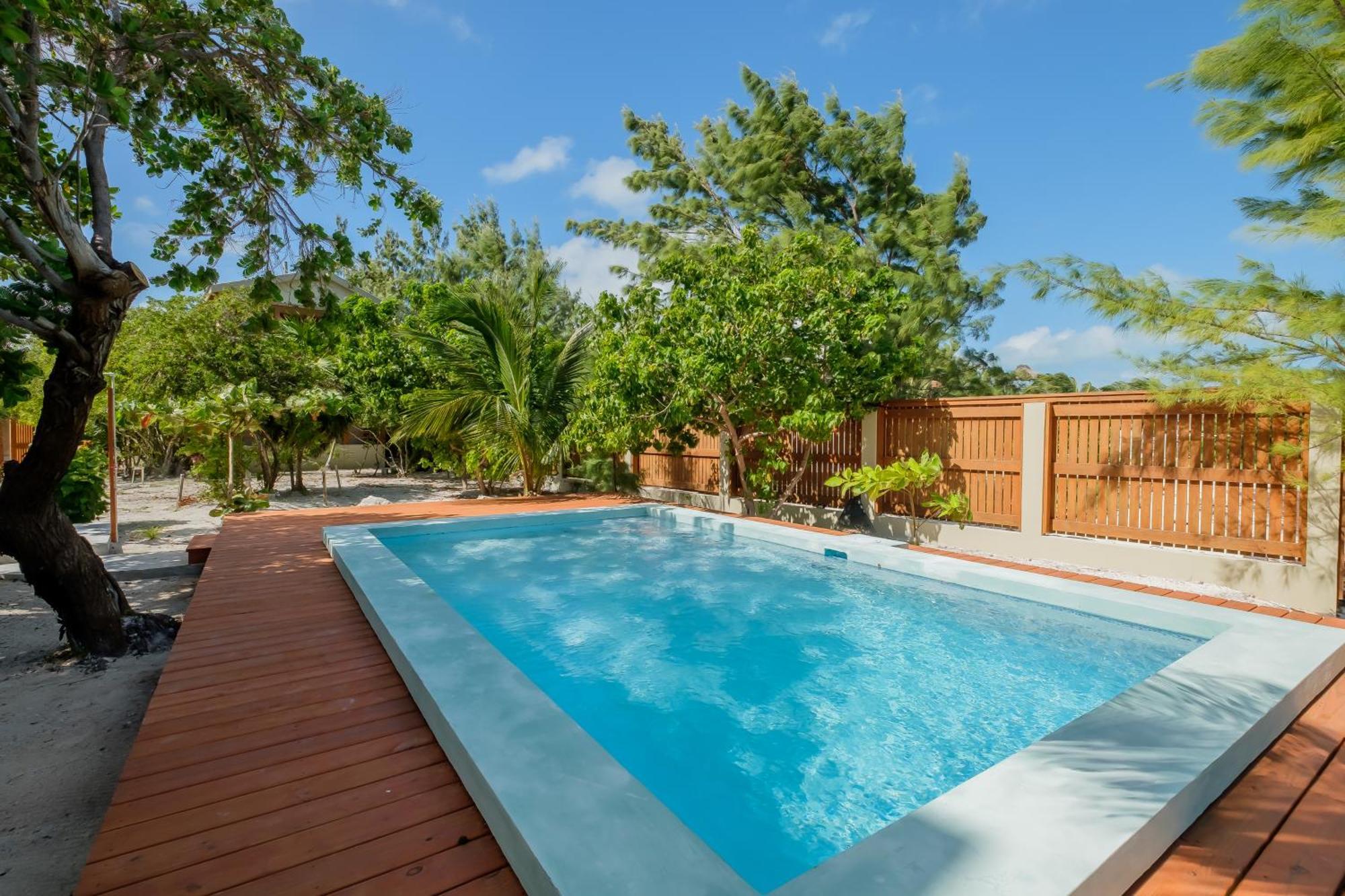 3 At Island Pearl Gold Standard Certified