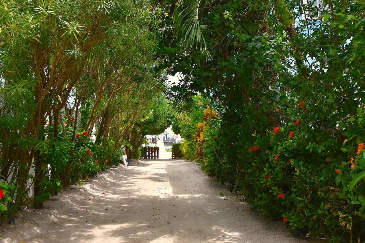 Caribbean