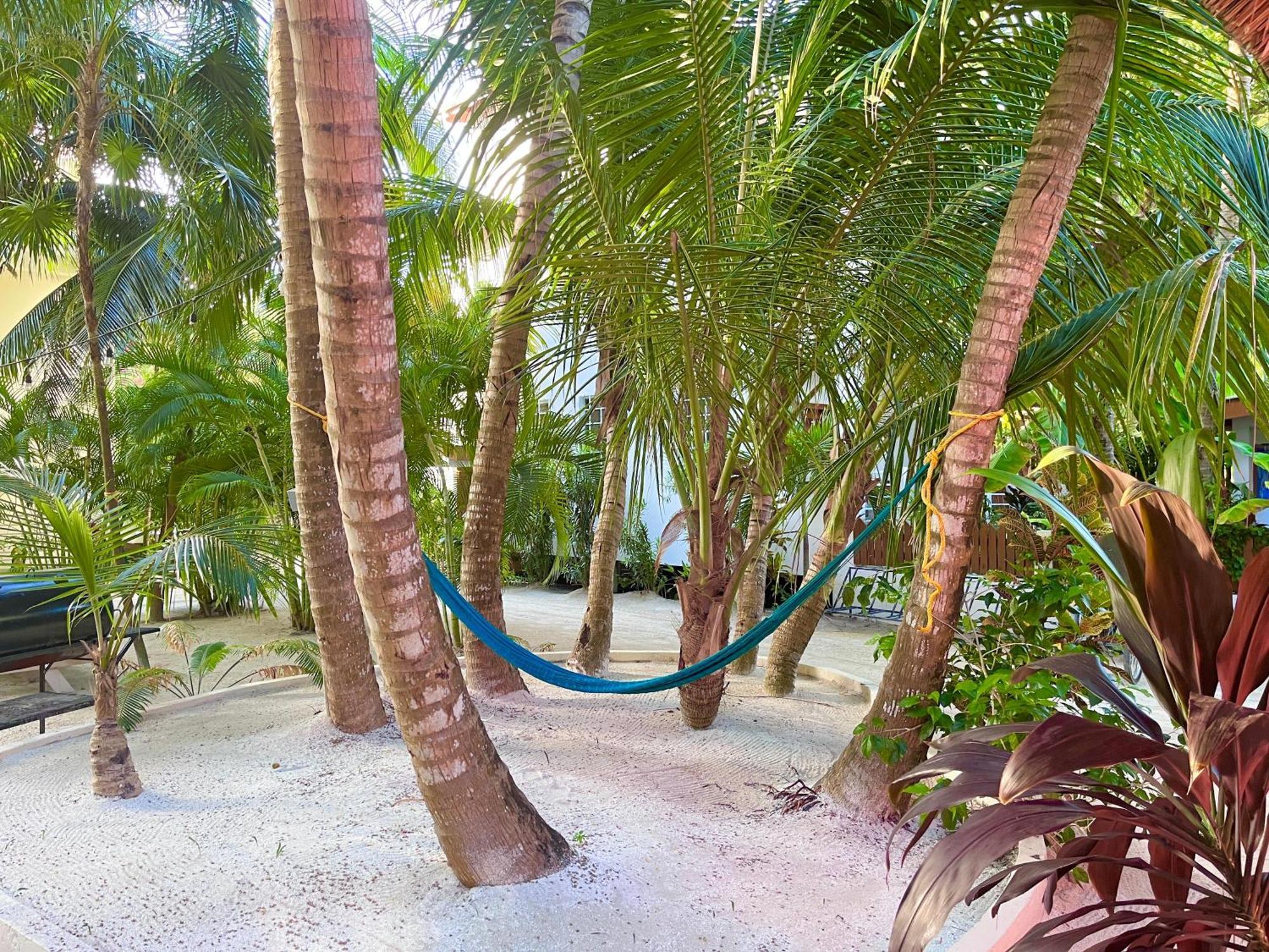 Caribbean *
