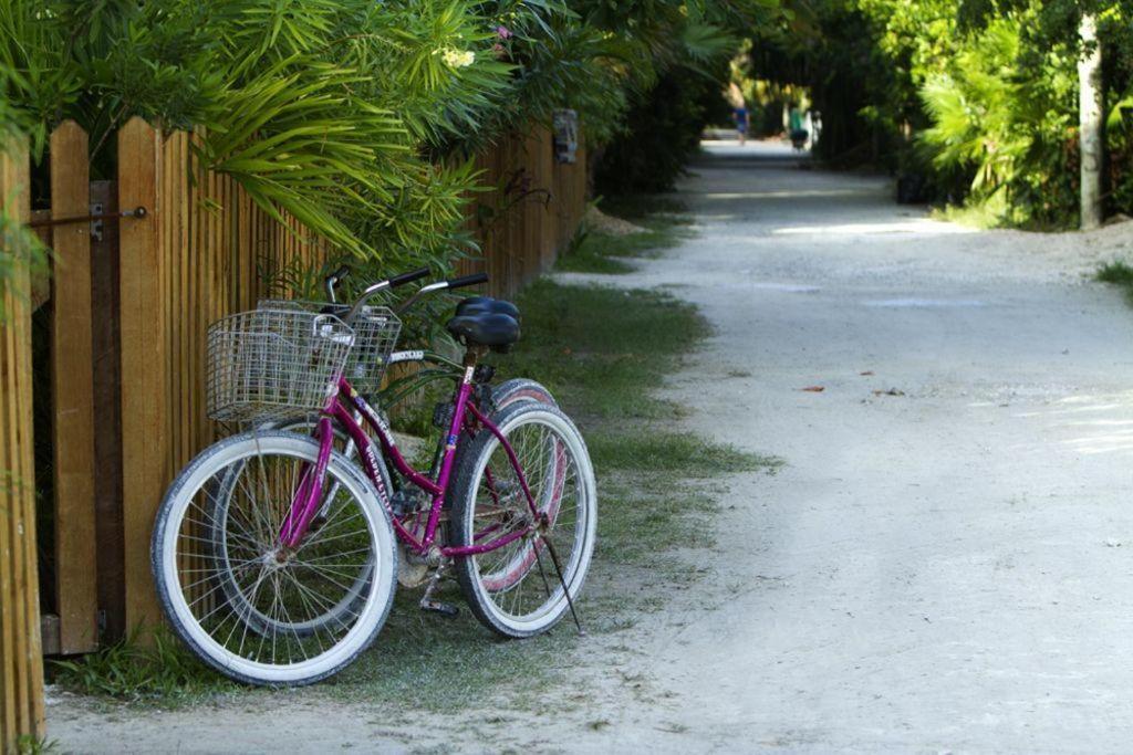 Sea Garden Caye Caulker