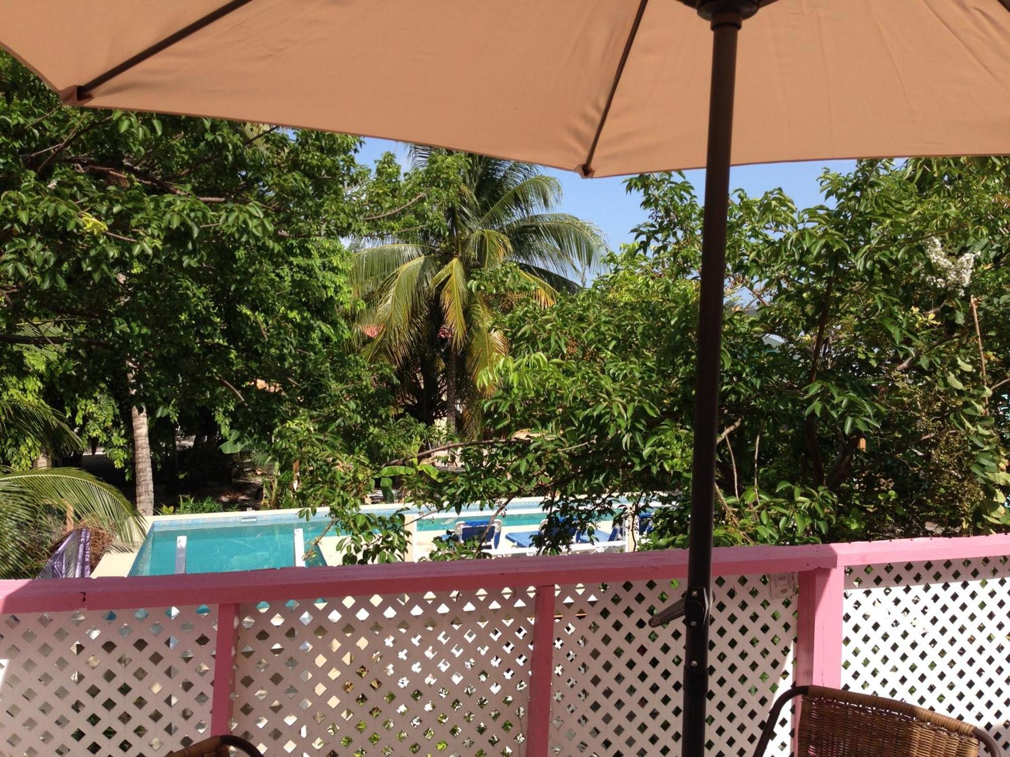 Hummingbirds Villa