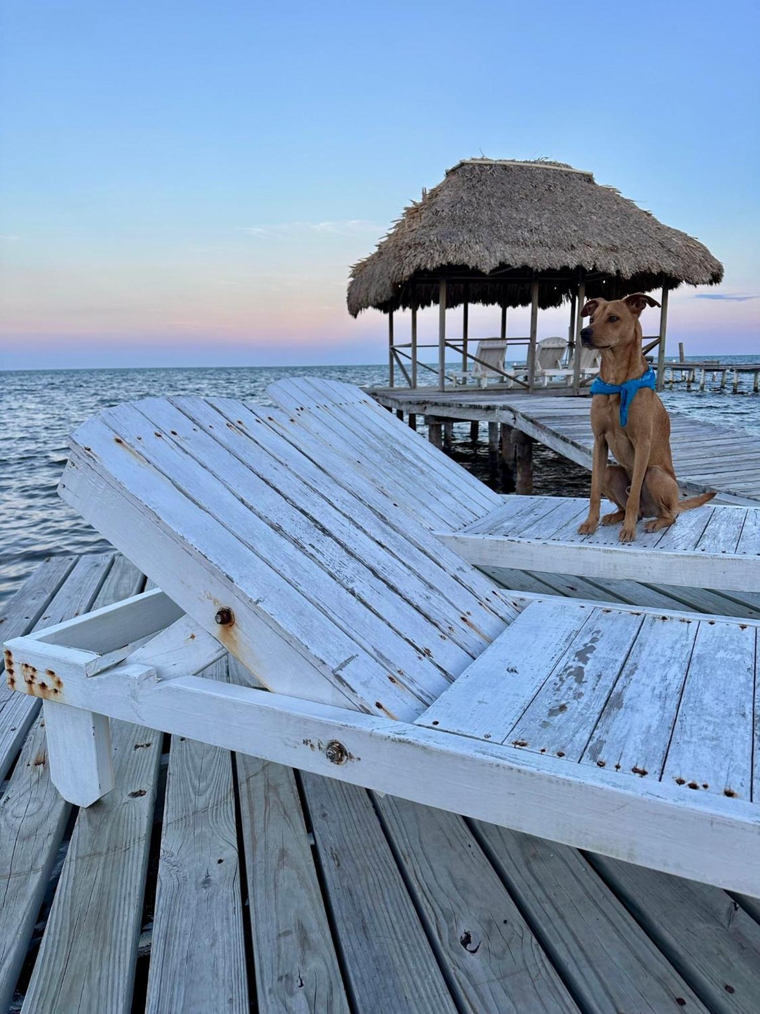 Hotel Barefoot Belize