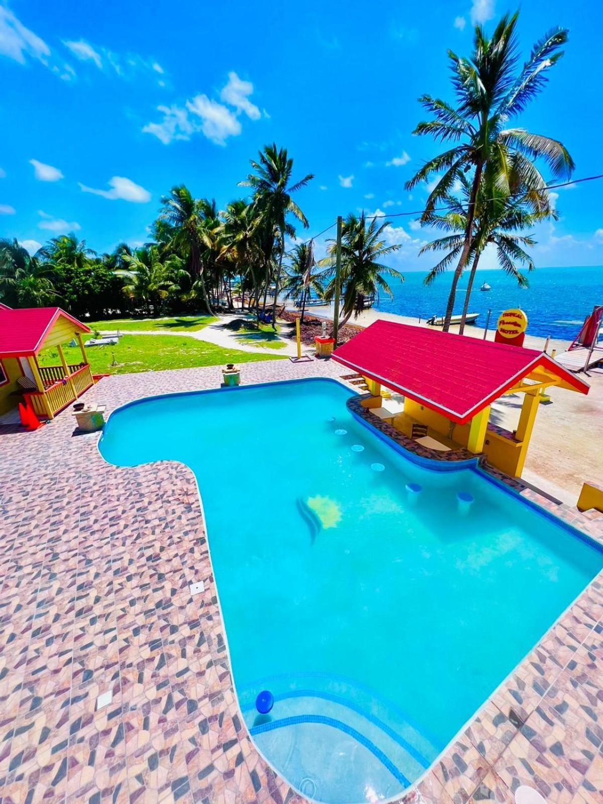 Tropical Paradise Express