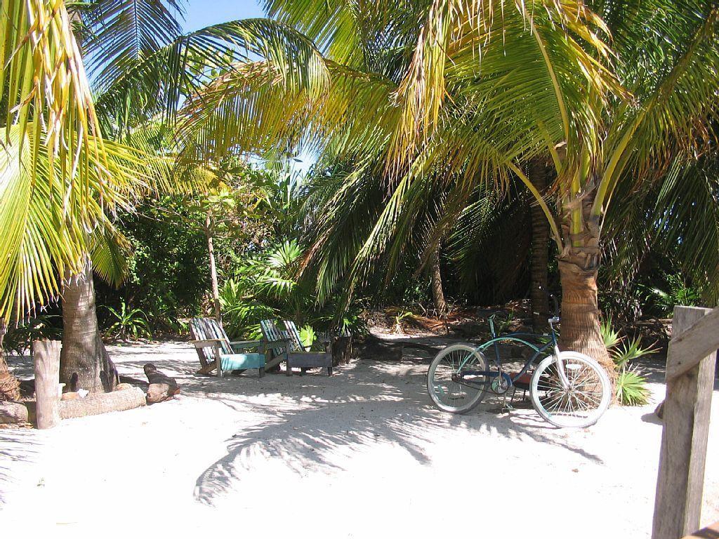 Coconut Grove Country house *