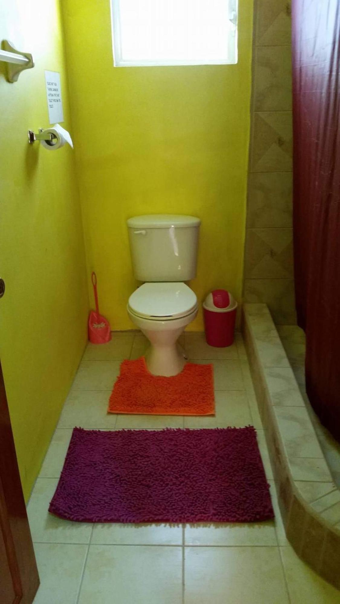 Travellers Palm Backpackers Albergue