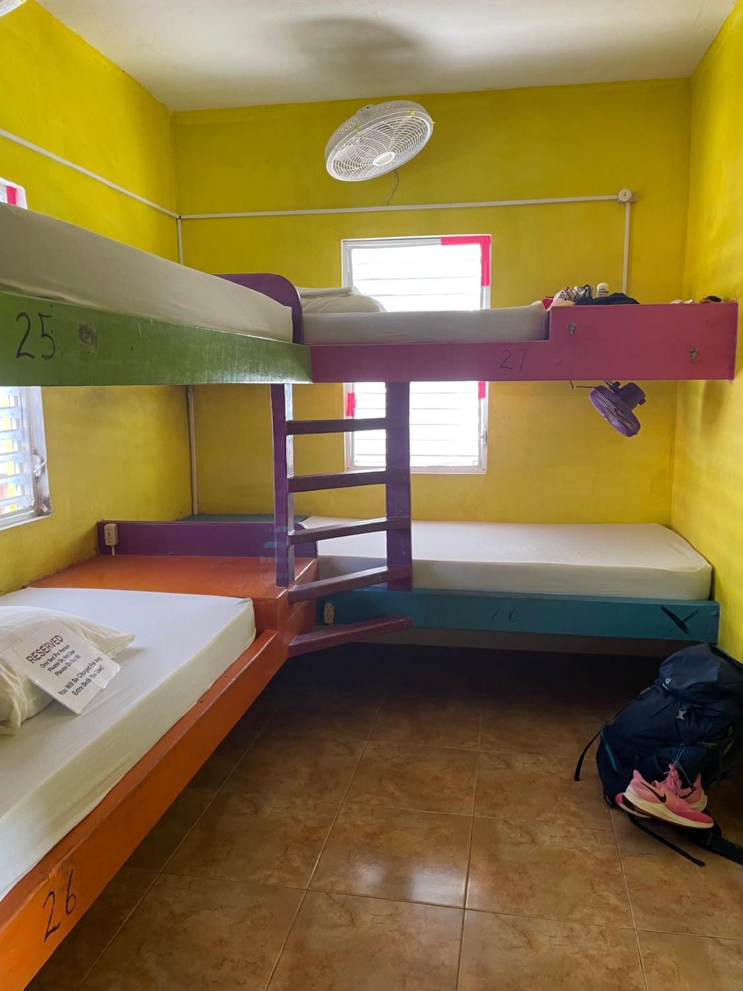 Albergue Travellers Palm Backpackers