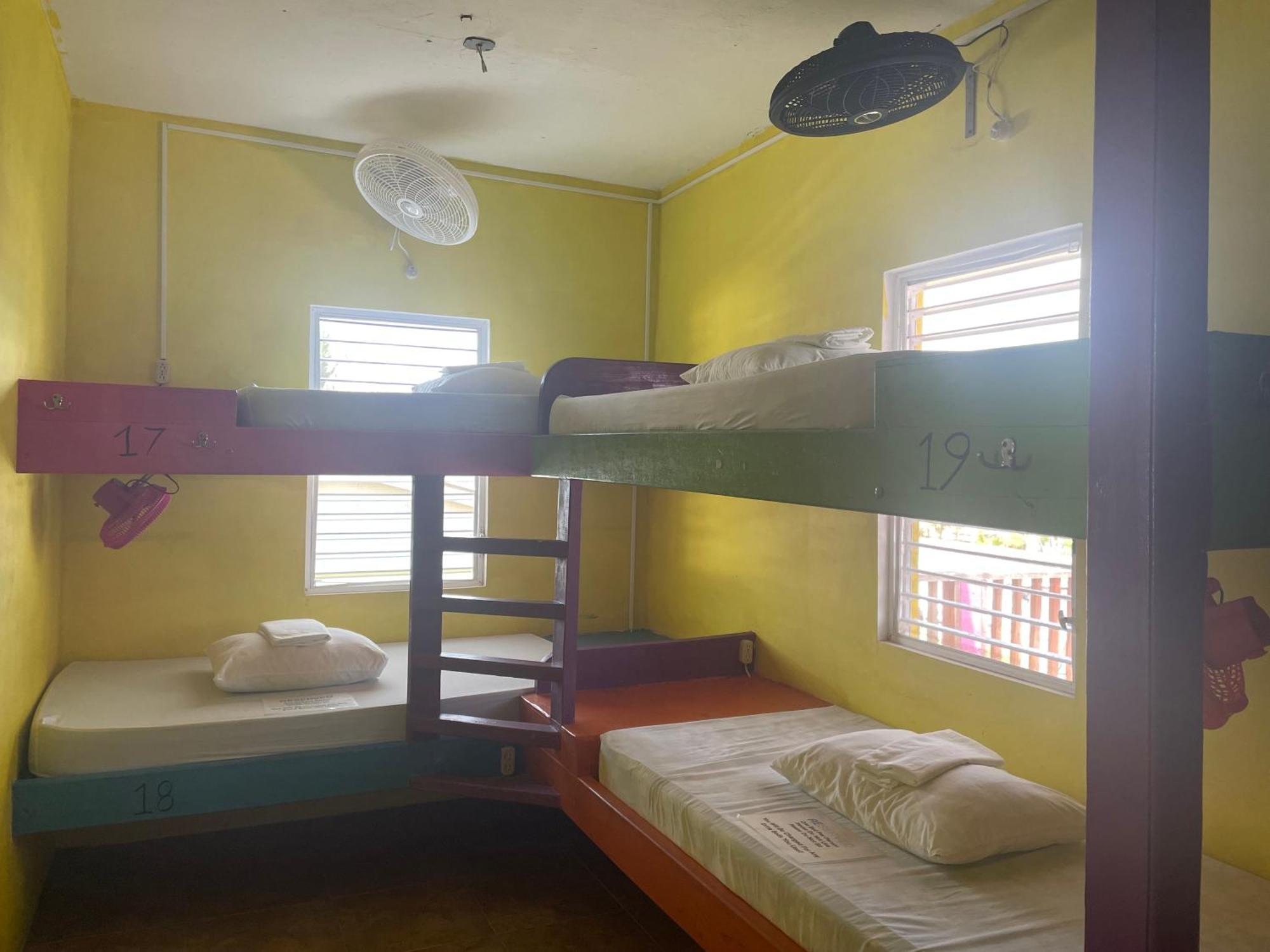 Travellers Palm Backpackers * Caye Caulker
