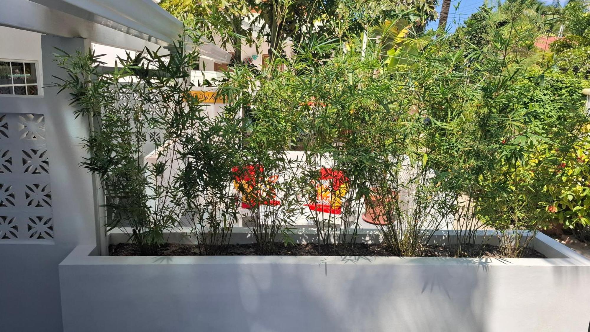Amanda's Place Yellow - Pool And Tropical Garden