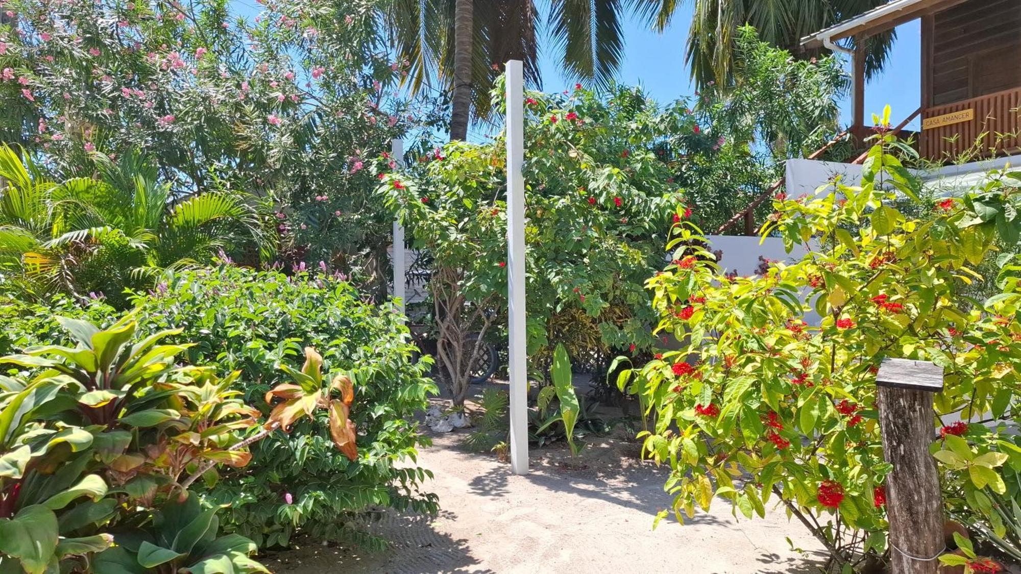 Apartamento Amanda's Place Yellow - Pool And Tropical Garden Caye Caulker