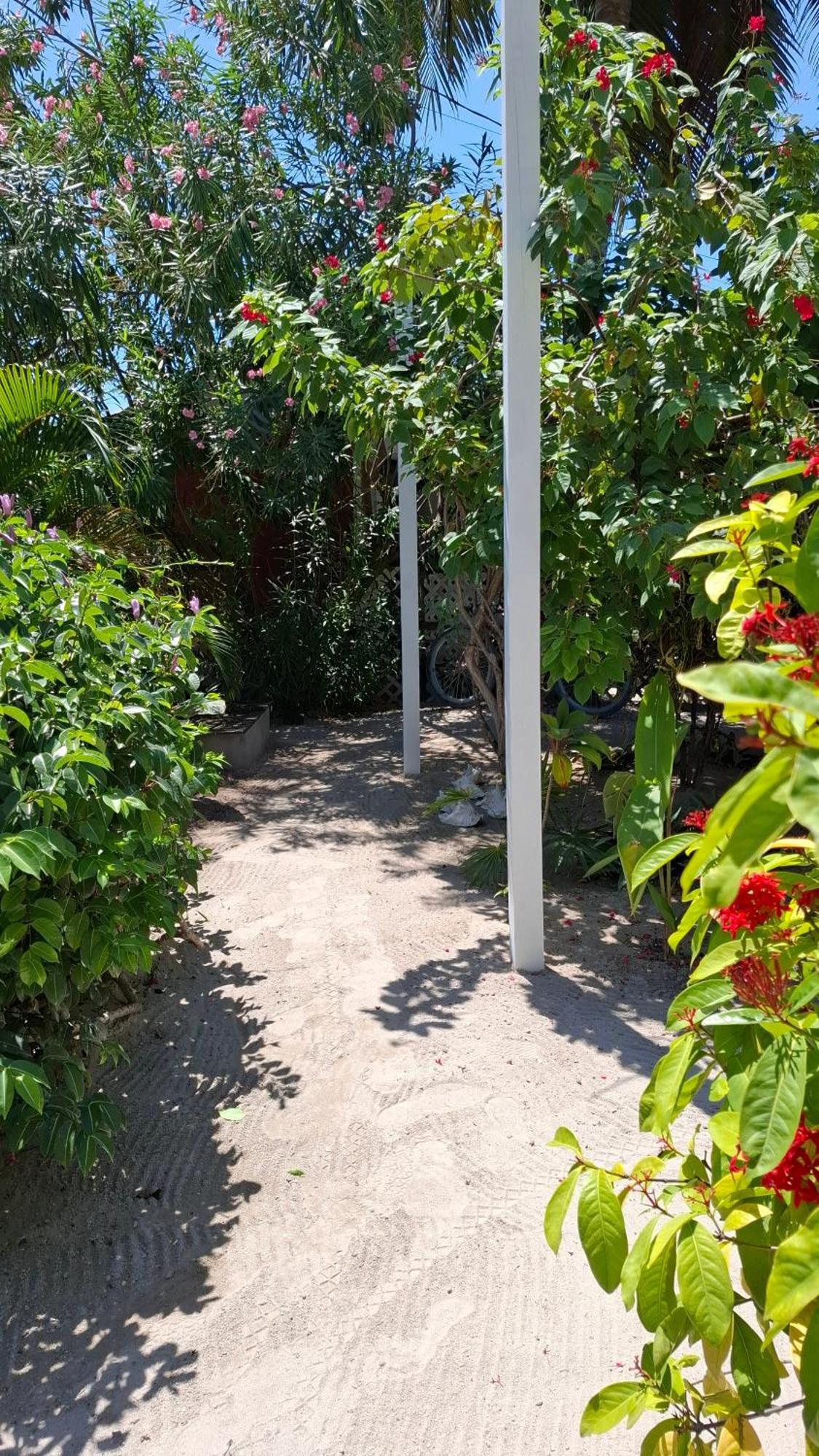 Amanda's Place Yellow - Pool And Tropical Garden Caye Caulker