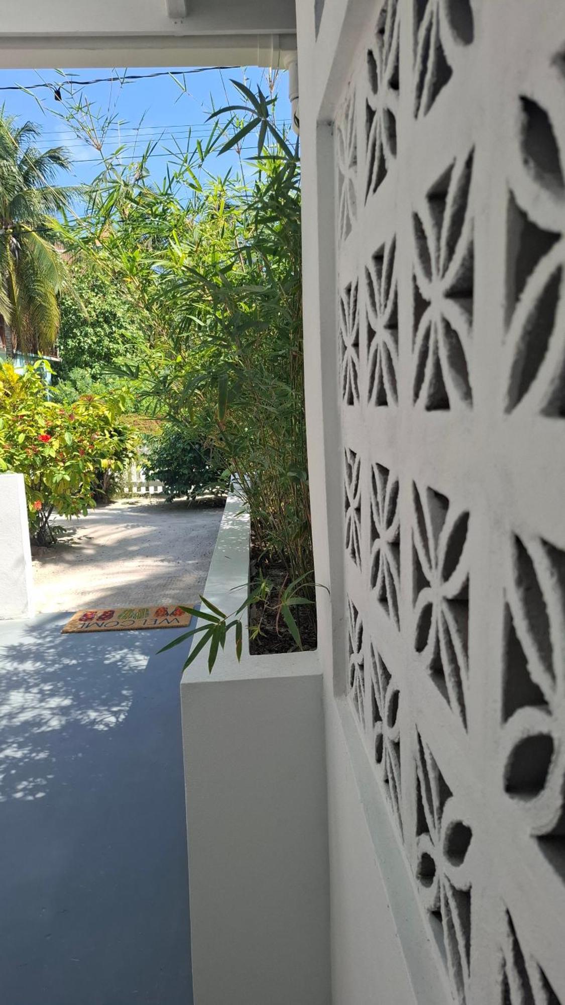 Amanda's Place - Pool And Tropical Garden * Caye Caulker