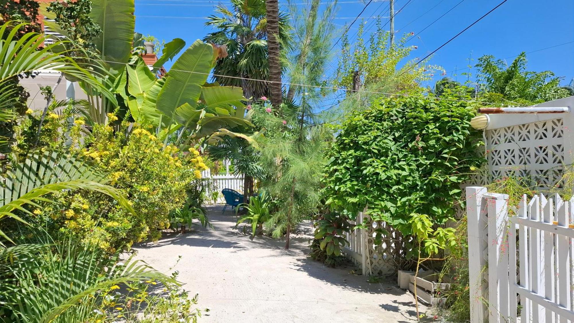 Holiday home Amanda's Place Casita Carinosa - Pool And Tropical Garden Caye Caulker