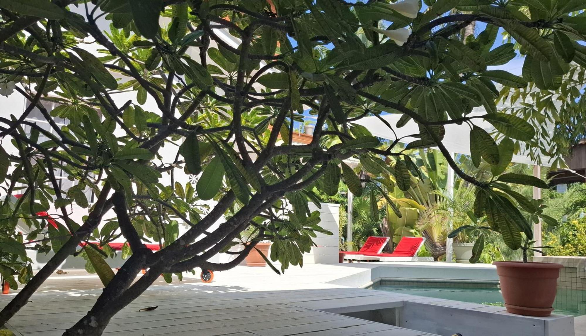 Amanda's Place Casita Carinosa - Pool And Tropical Garden Holiday home Caye Caulker