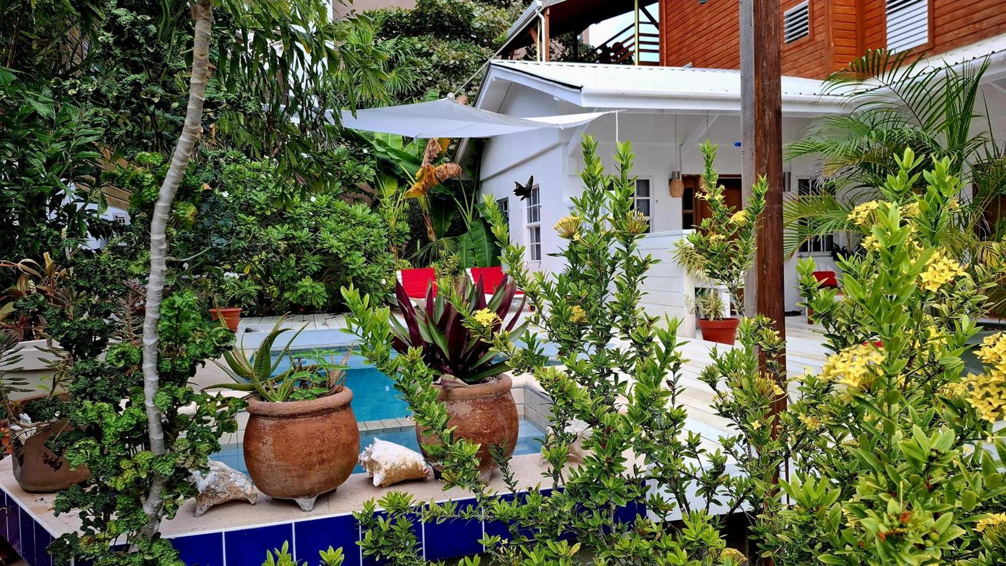 Amanda's Place Casita Carinosa - Pool And Tropical Garden Holiday home