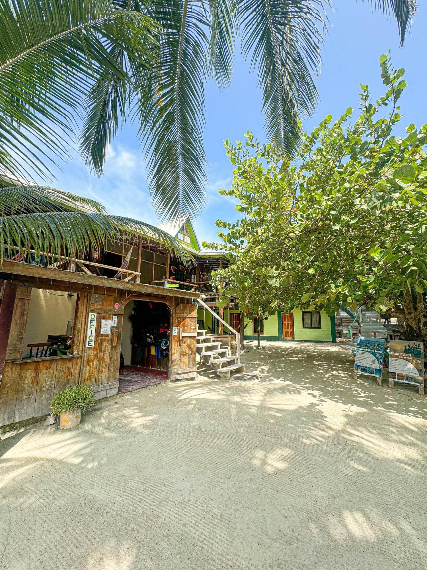 Bella's Backpackers *