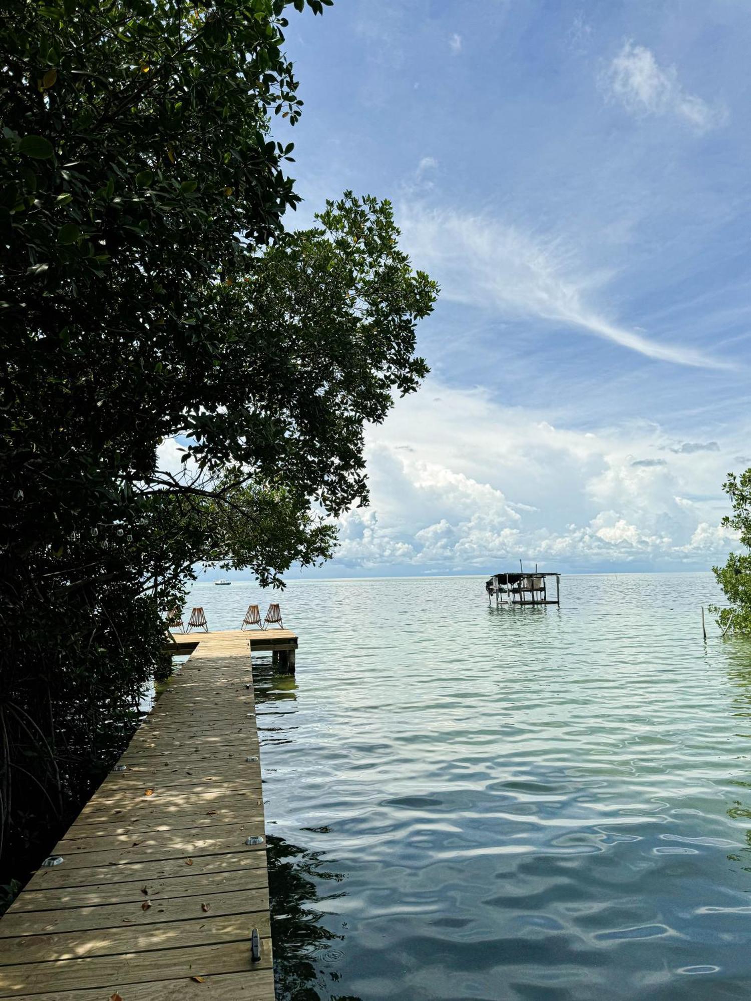 Bella's Backpackers Hostel Caye Caulker